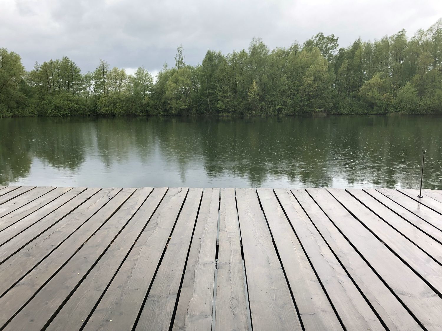 placeholder image-sq