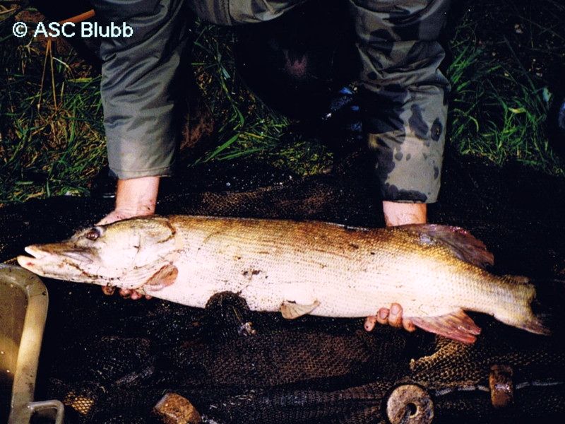 placeholder image-sq