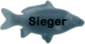 Sieger