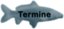 Termine